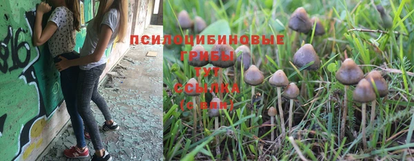 экстази Осташков