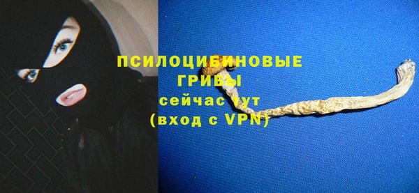 экстази Осташков