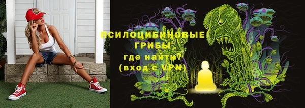 2c-b Осинники