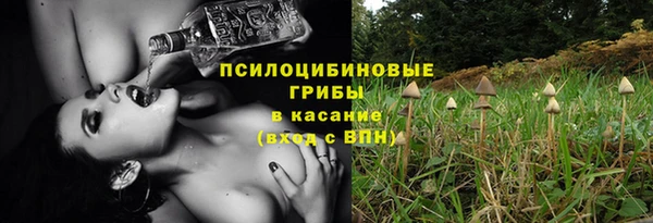 ешки Остров