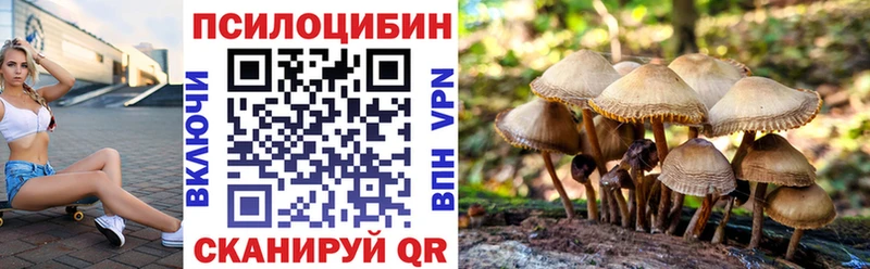 Галлюциногенные грибы Magic Shrooms  Краснокамск 