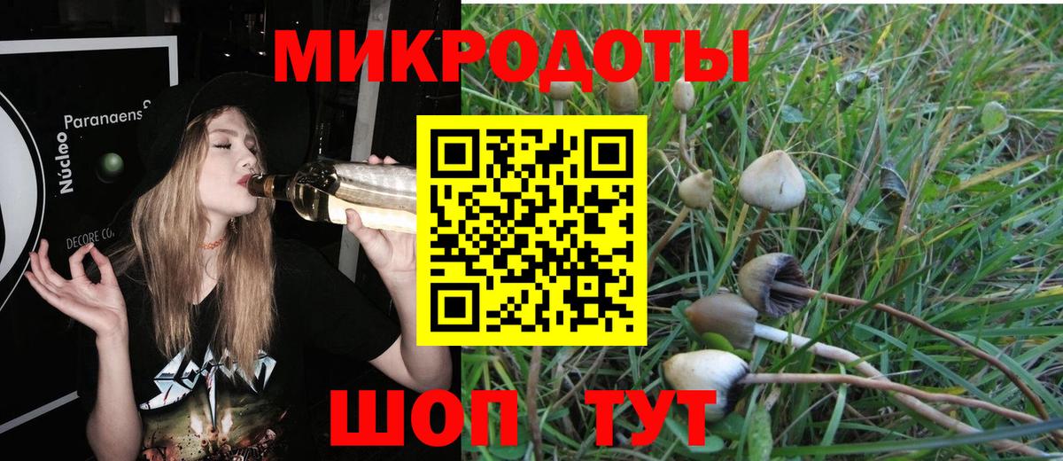 Псилоцибиновые грибы Magic Shrooms Краснокамск