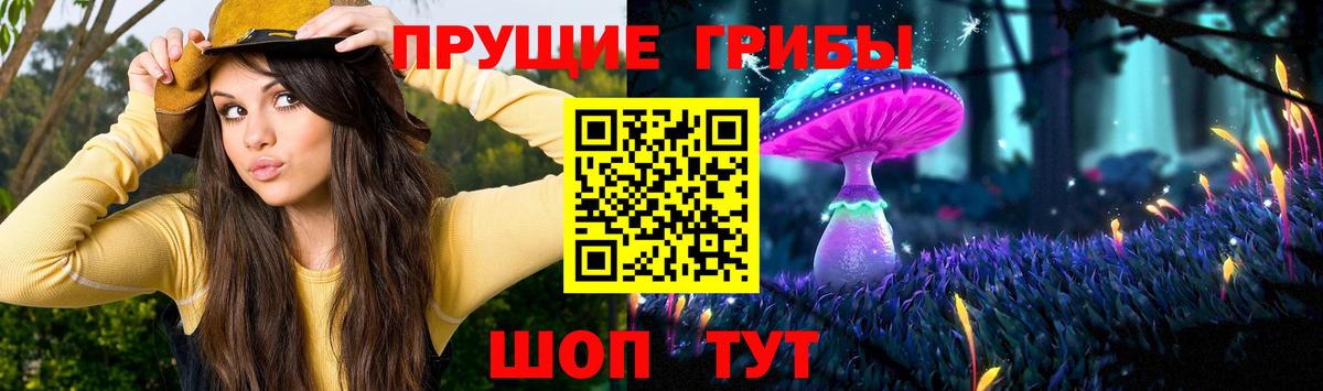 Псилоцибиновые грибы Psilocybine cubensis  Вход с VPN  как найти   Краснокамск 